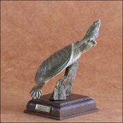 Chinese softshell turtle KITAN CLUB-3.jpg
