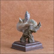 Chinese softshell turtle KITAN CLUB-5.jpg