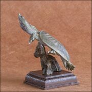 Chinese softshell turtle KITAN CLUB-7.jpg