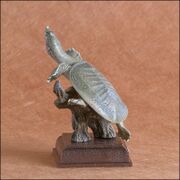 Chinese softshell turtle KITAN CLUB-8.jpg