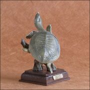 Chinese softshell turtle KITAN CLUB-9.jpg