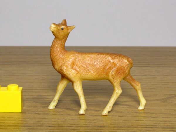 Clairet Red deer hind left 1.JPG