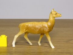 Red deer hind looking straight