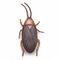 Cockroach thumb.jpg