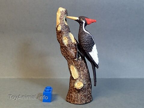 Ivory-billed woodpecker - Toy Animal Wiki