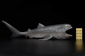 CollectA 80046 Megamouth Shark