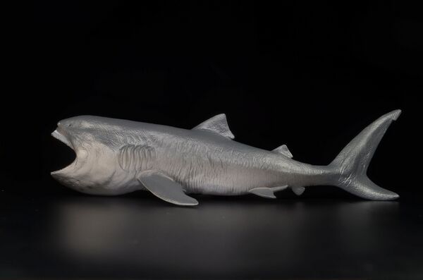 CollectA 2025 Megamouth Shark 80046 jolie2.jpg