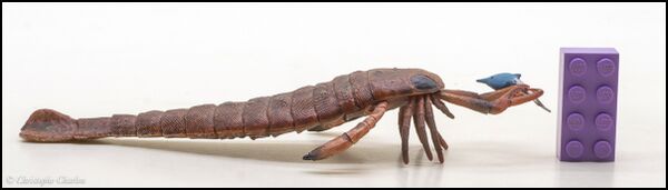 CollectA 80030 Jaekelopterus 1.jpg