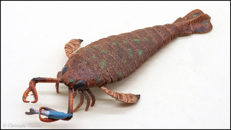 File:CollectA 80030 Jaekelopterus 2.jpg