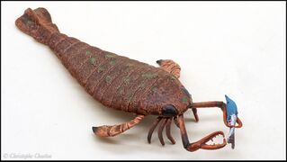 CollectA 80030 Jaekelopterus 3.jpg