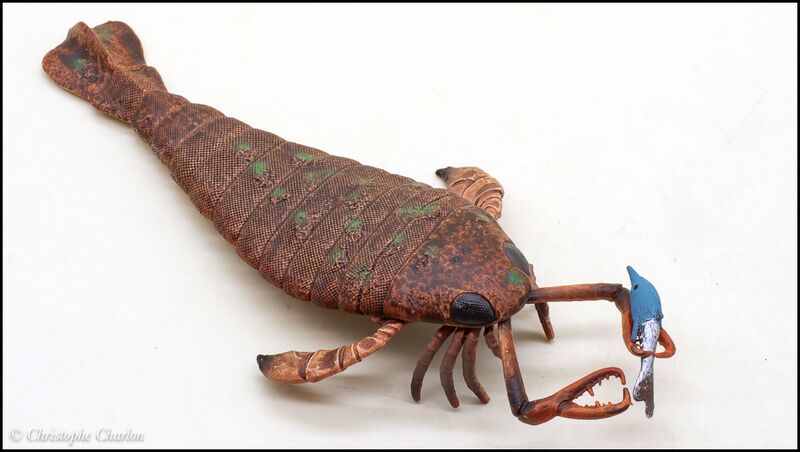 File:CollectA 80030 Jaekelopterus 3.jpg