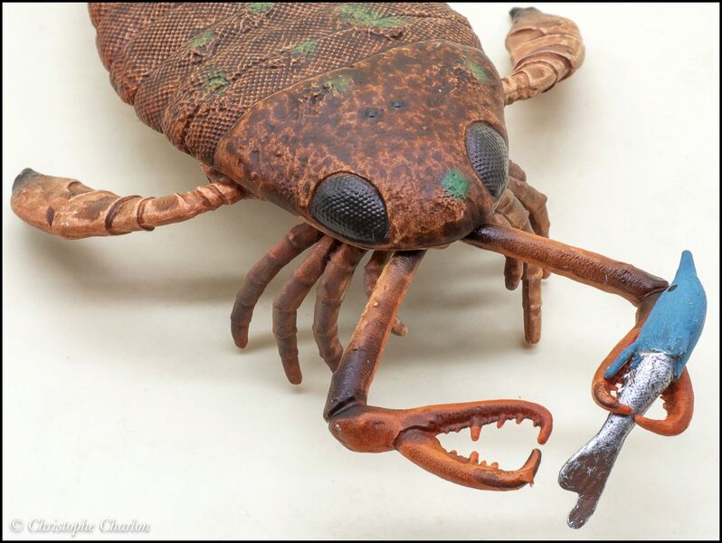 File:CollectA 80030 Jaekelopterus 7.jpg