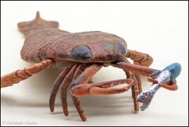 CollectA 80030 Jaekelopterus 8.jpg