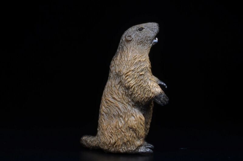 File:CollectA 80044 Marmot 2.jpg