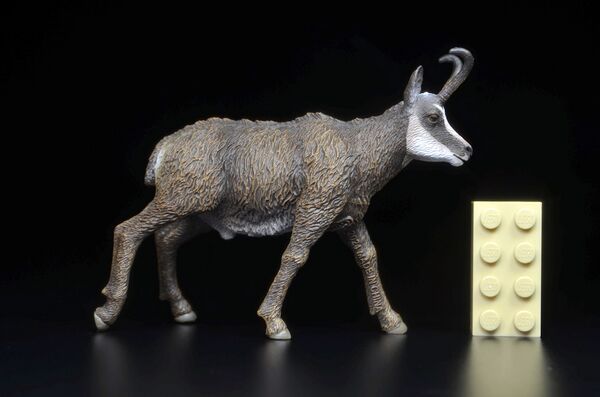 CollectA 80045 Chamois 1.jpg