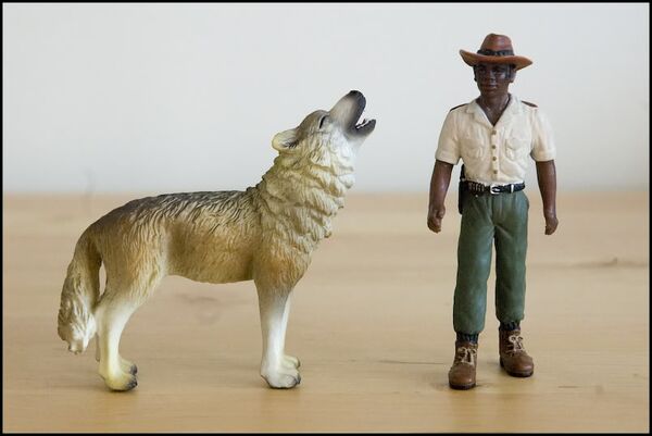 CollectA 88341 Timber Wolf - Howling 1.jpg