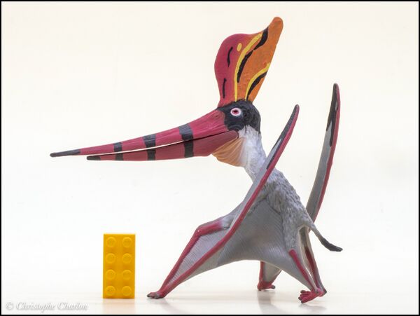 CollectA 88943 Pteranodon sternbergi 1.jpg