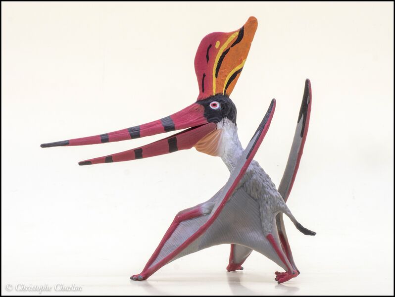File:CollectA 88943 Pteranodon sternbergi 3.jpg