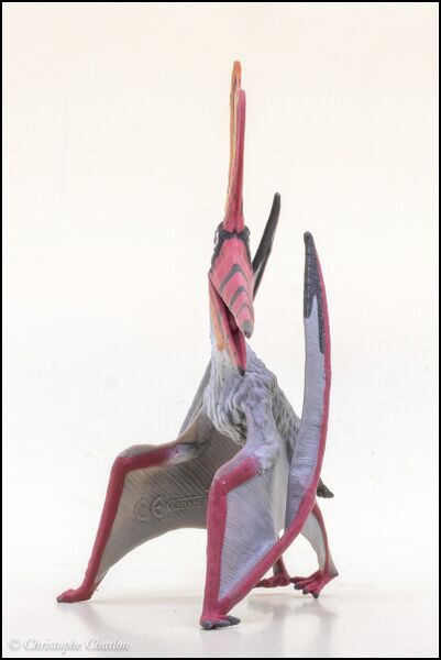 File:CollectA 88943 Pteranodon sternbergi 4.jpg