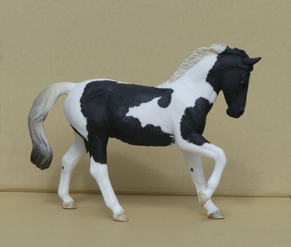 Collecta-Pinto-Warmblood2.jpg