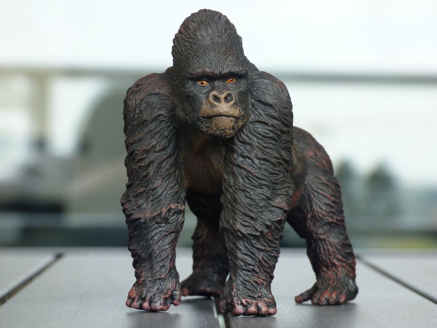 CollectA 88899 Mountain Gorilla Toy Animal Wiki