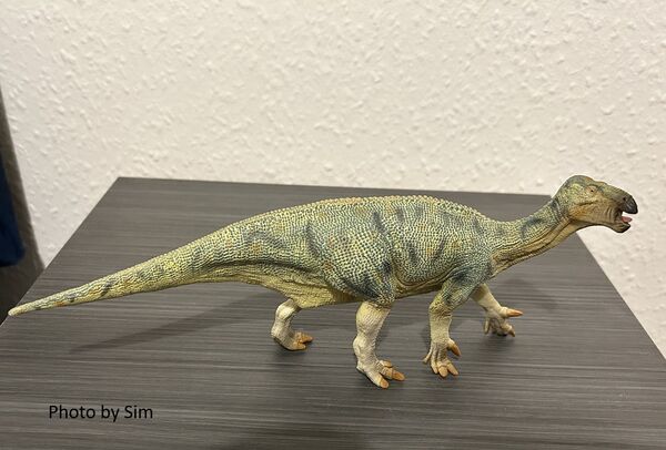 Collectaiguanodon1.jpg