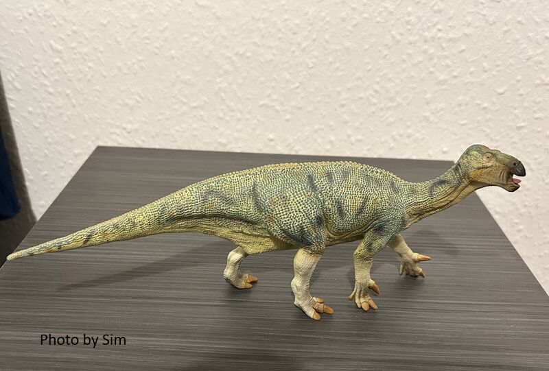 File:Collectaiguanodon1.jpg