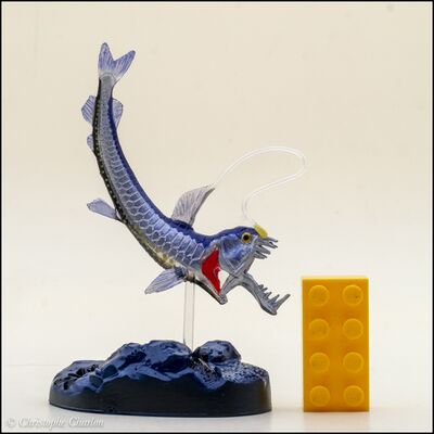 Colorata 2015 Sloane's viperfish 1.jpg