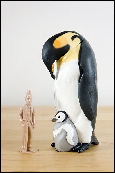 Colorata Emperor Penguin.jpg