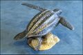 Colorata Leatherback Sea Turtle 1 4.jpg