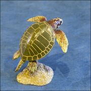 Colorata Olive Ridley Sea Turtle 1 2.jpg