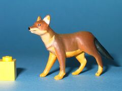 Colorata Zoogeography Oriental Region Dhole