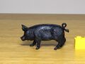 Crescent Black pig 2.JPG