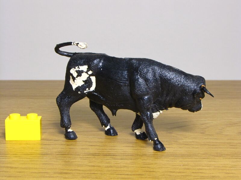 File:Crescent Bull 2.JPG