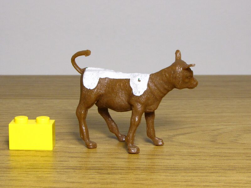 File:Crescent Calf 2.JPG