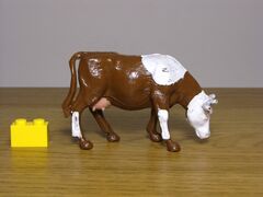 Crescent Cow feeding