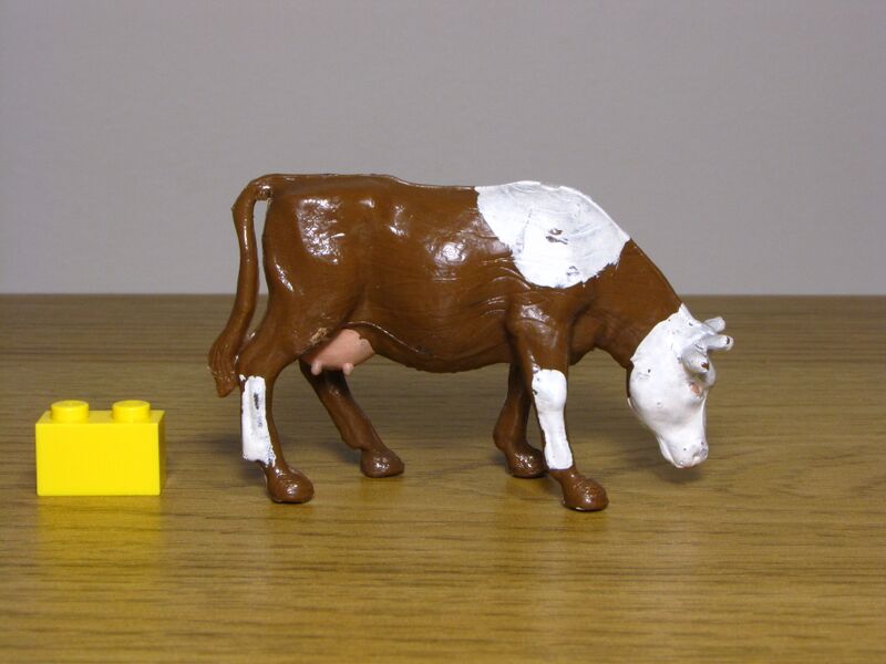 File:Crescent Cow feeding 1.JPG