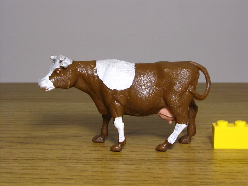 File:Crescent Cow standing 1.JPG