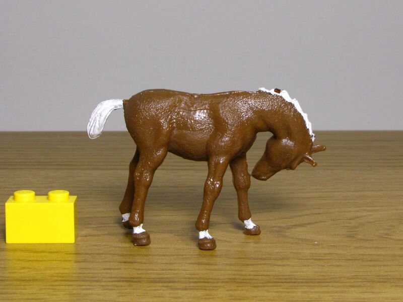 File:Crescent Foal 1.JPG