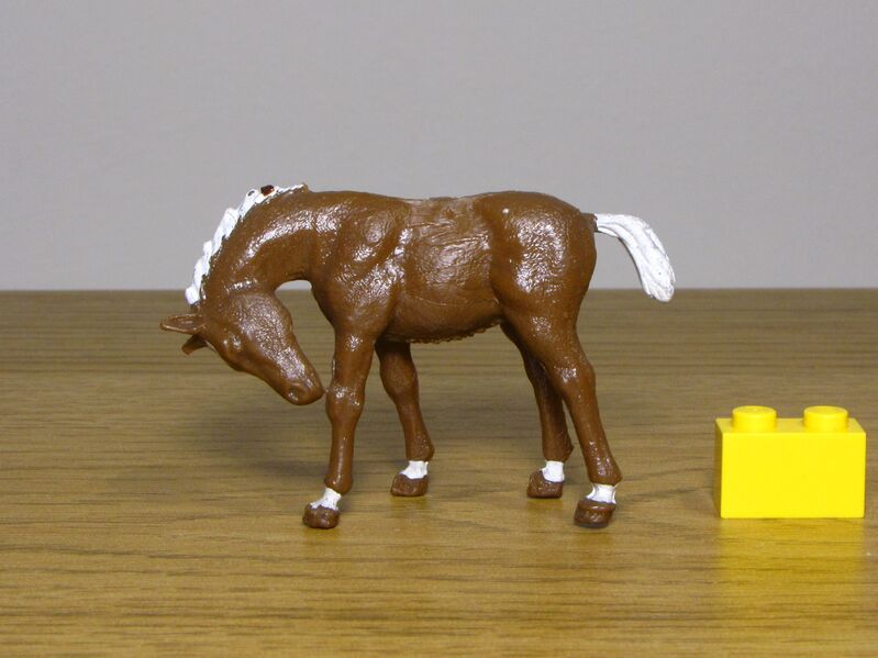 File:Crescent Foal 2.JPG