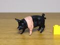 Crescent Saddleback pig 2.JPG