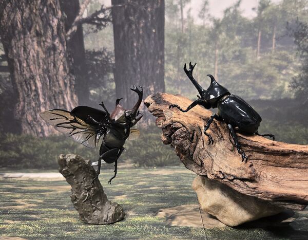 DOLOE MiniInsects1 06.jpg