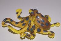 Blue-ringed Octopus