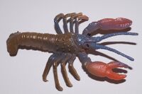 Lobster