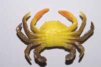 Swimming Crab