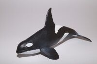 Killer Whale
