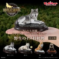 Wild canines collection