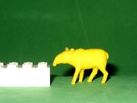 Dunkin-yellow-tapir.jpg