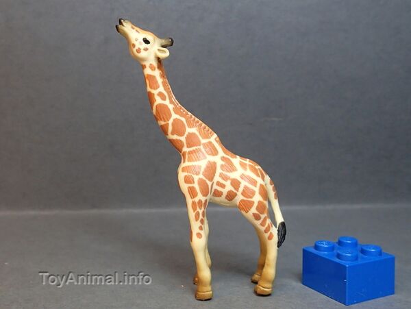 EIKOH3 20GiraffeCalf.JPG