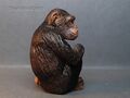 EIKOH5 35Chimpanzee2.JPG